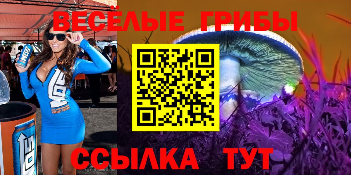 Галлюциногенные грибы GOLDEN TEACHER Старая Купавна