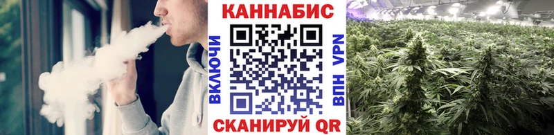 Каннабис гибрид  Старая Купавна 
